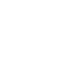 logo white eliberth studios